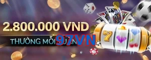 97VN